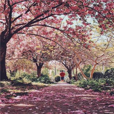 BSport·APP在线登录下载手机版