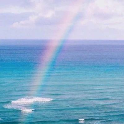 BSport·APP在线登录下载手机版